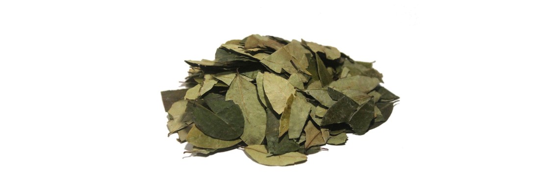 coca tea bags